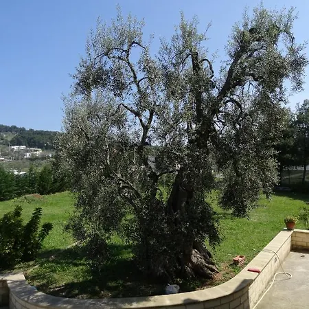 Casa Di Miscia Holiday home *